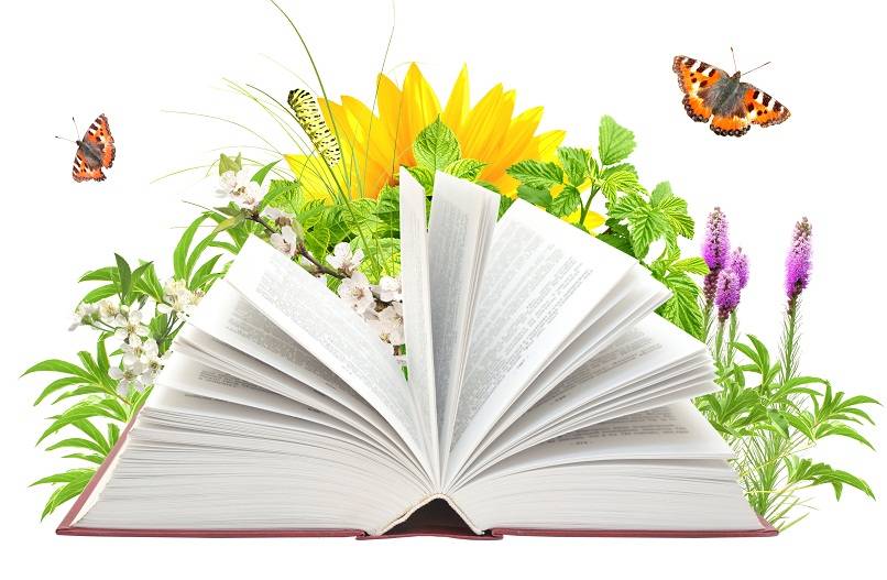http://xn----7sbcaucqbthgyg0d8d5c.xn--p1ai/wp-content/uploads/2016/06/fotolia_38547366_book-and-butterfliesxl.jpg