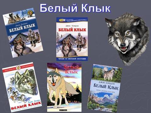 Читательская конференция по книге Джека Лондона «Белый Клык»