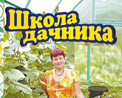 Приглашаем в Школу современного дачника (18+)