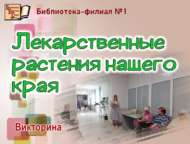 Викторина «Лекарственные растения нашего края» (+16)