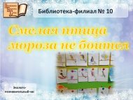 Эколого-познавательный час «Смелая птица мороза не боится» (0+)