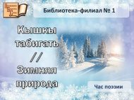 Час поэзии «Кышкы табигать»//«Зимняя природа» (18+)