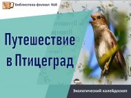 Экологический калейдоскоп «Путешествие в Птицеград» (0+)