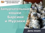 День кошек «Замурчательные кошки Барсики и Мурзики» (0+)