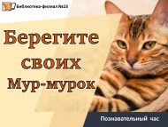Познавательный час «Берегите своих Мур-мурок» (12+)