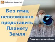 Познавательный час «Без птиц невозможно представить планету Земля» (6+)