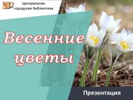 Презентация «Весенние цветы» (6+)