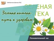 Познавательный час «Зеленая аптека-путь к здоровью» (18+)