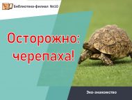 Эко-знакомство «Осторожно: черепаха!» (0+)