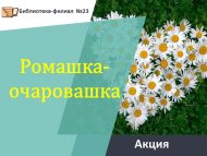«Сөйкемле ромашка» акциясе (6+)