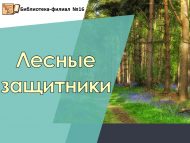 Эковикторина «Лесные защитники» (6+)