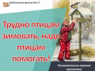 Познавательно-игровая программа «Трудно птицам зимовать, надо птицам помогать!»  (0+)