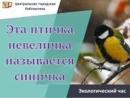 Экологический час «Эта птичка невеличка называется синичка» (6+)