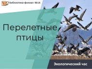 Экологический час «Перелетные птицы» (6+)
