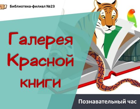 23ф красн кни