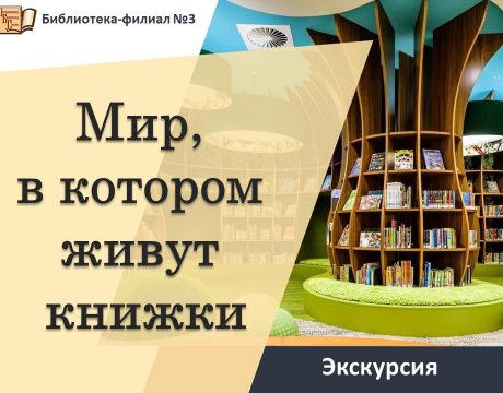 мир книж