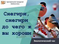 Экологический час «Снегири, снегири до чего ж вы хороши» (6+)
