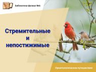 «Ашкынучан һәм гаҗәеп» орнитологик сәяхәт (12+)