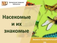 «Бөҗәкләр һәм аларның танышлары» экологик-танып белү сәгате (0+)