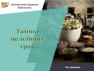 «Шифалы үләннәр сере» сәламәтлек сәгате (12+)