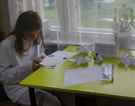17ф. Журавли4