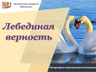 «Аккошлар тугрылыгы» Гаилә, мәхәббәт һәм тугрылык көненә әдәби-музыкаль композиция (0+)