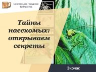 Экочас «Тайны насекомых: открываем секреты» (12+)