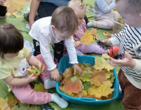 увлекательный мир животных
