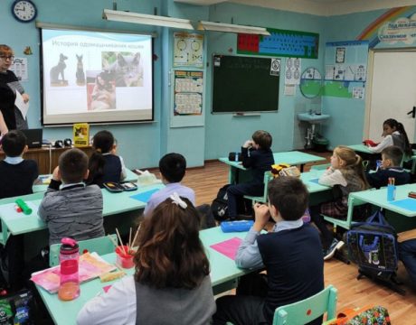 17ф. Кэтсбург4