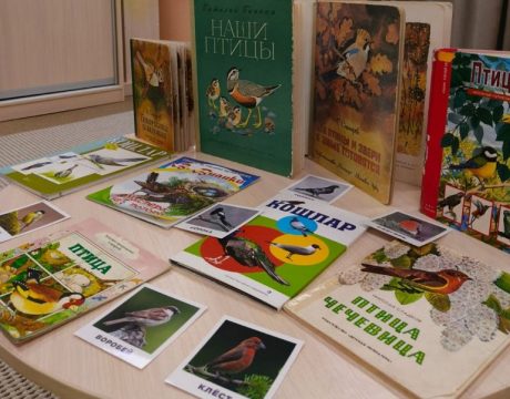 17ф. Синички выст