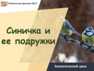 Экологический урок «Синичка и ее подружки» (0+)
