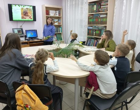 IMG_20251118_134217_700