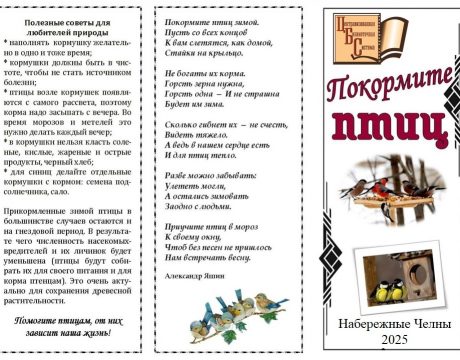 листовка покормите птиц