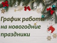 Яңа ел бәйрәмнәрендә китапханәләрнең эш тәртибе (0+)