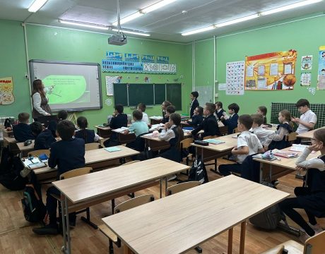 IMG-20251213-WA0006(1)