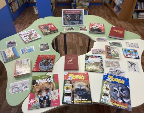 c462228f-80bf-4a9f-8eb7-efcf14afd09b