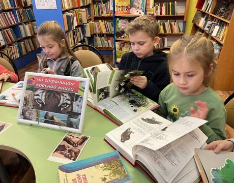 de289f27-da08-47ba-8b16-05d8aa908a44