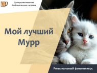 Итоги регионального фотоконкурса «Мой лучший Мурр» (0+)