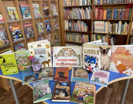 81a0a4ae-516e-4798-af2b-46328a68cb4e