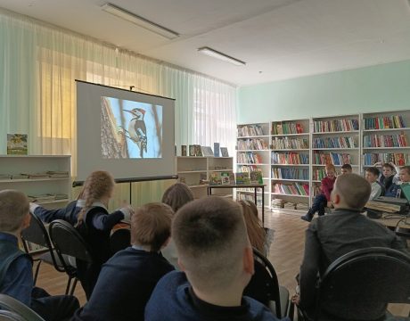 IMG_20260318_125008_070