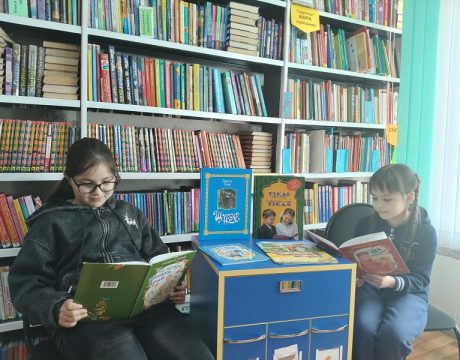 13 ф. Лит-познават программа Страна стихов и сказок Тукая 3