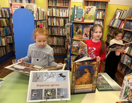 b4a355d1-4ce4-4469-8aa8-88191f3ee54c