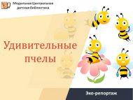 «Гаҗәеп бал кортлары» эко-репортажы (6+)