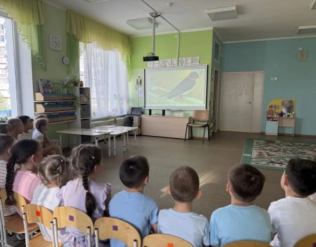 экологическийчасптицы (4)