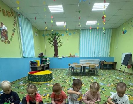 зерновое поле